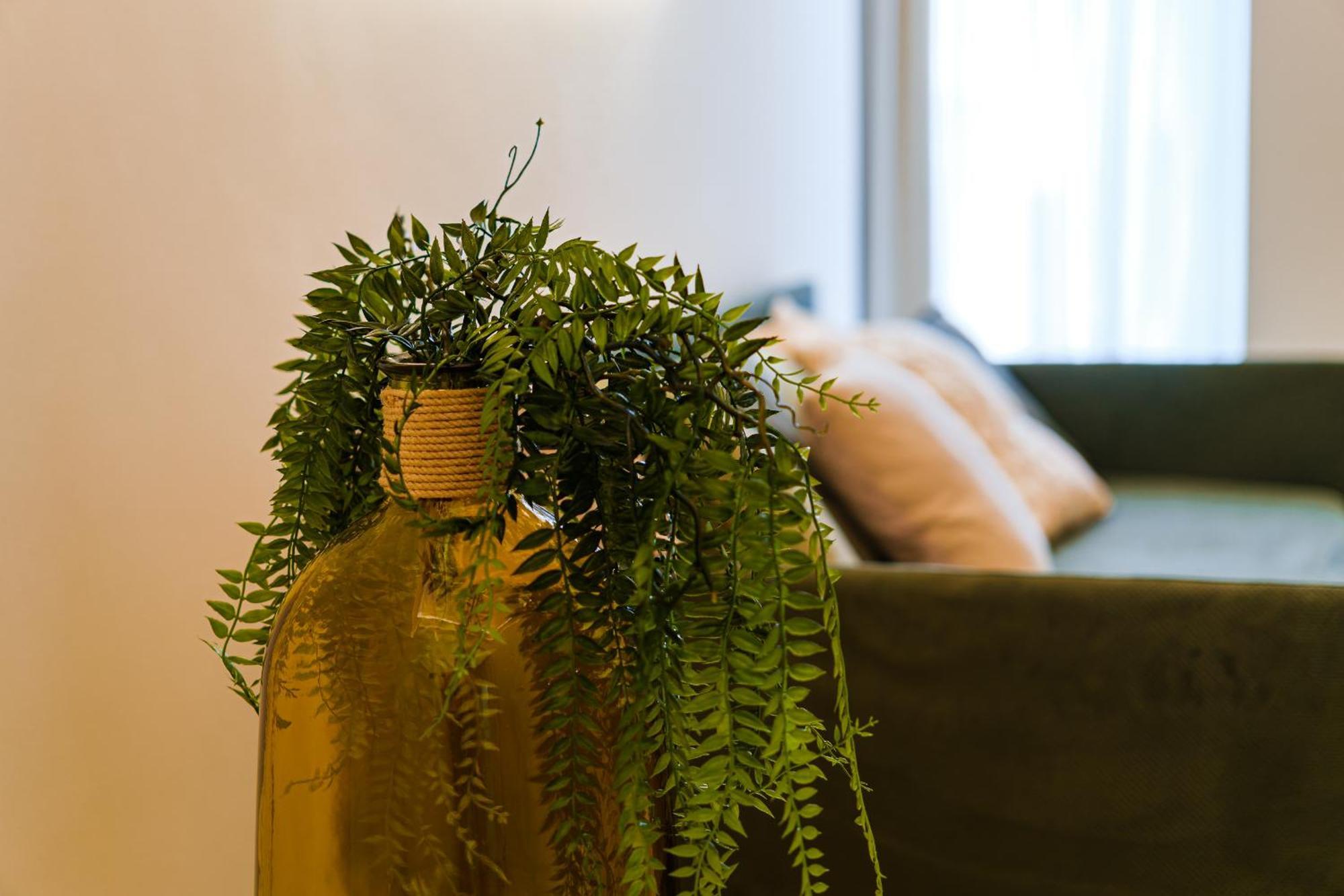 Helloapulia Charming Palazzo Clemente - Self-Catering Suites With Aircondition Monopoli Ngoại thất bức ảnh